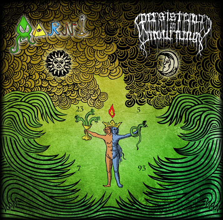 'Aarni/PiM Split' cover art